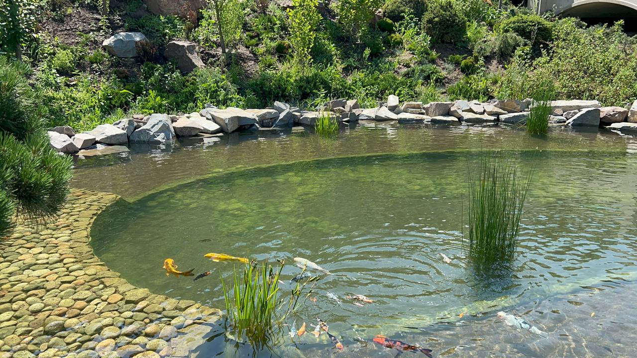 Частная вилла — декоративный водоём — изображение 9