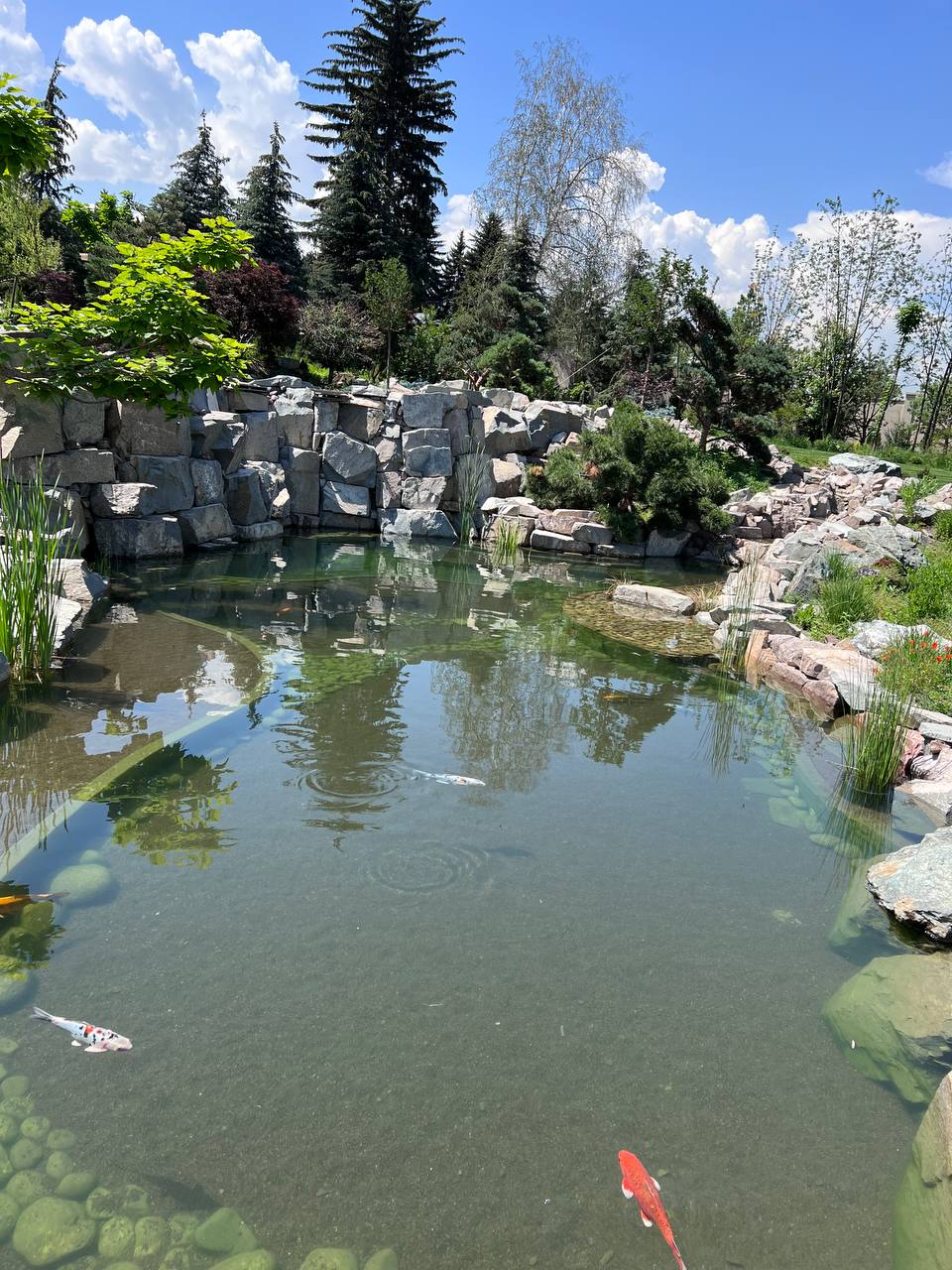 Частная вилла — декоративный водоём — изображение 10