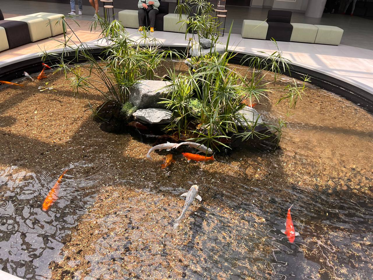 Автосалон Mycar Almaty — декоративный пруд — изображение 4