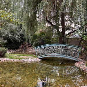 Частная вилла — водоём на сложном рельефе
