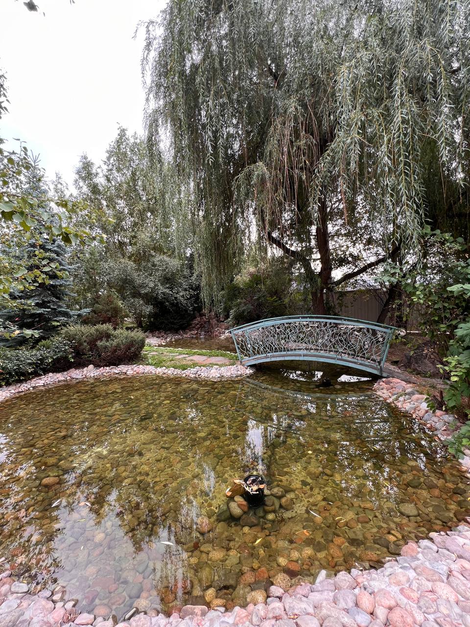 Частная вилла — водоём на сложном рельефе — изображение 5