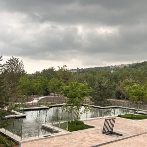Частная Вилла - пруд в стиле модерн